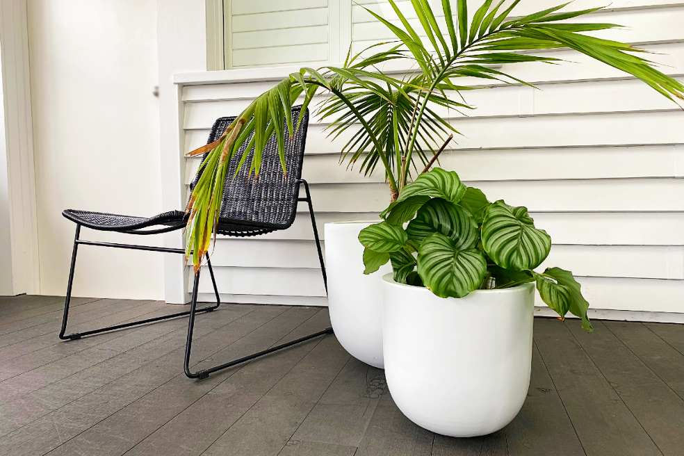 white outdoor pots