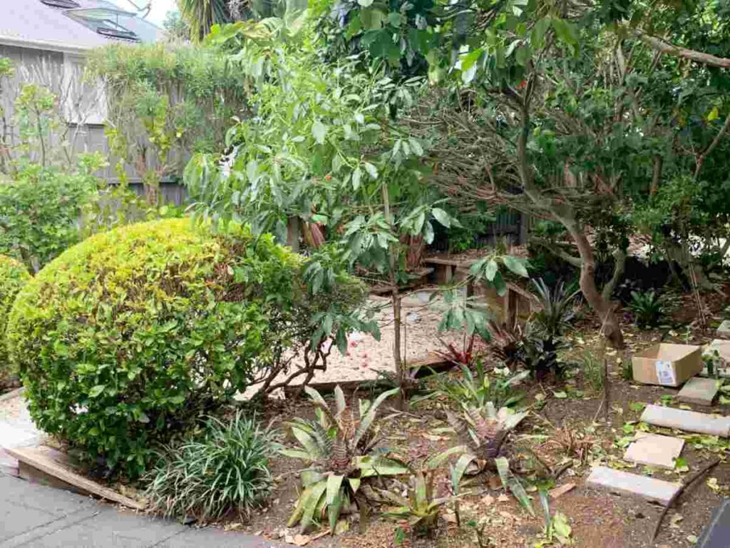 before outdoor makeover mr sames