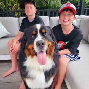 outside space nz customer reviews