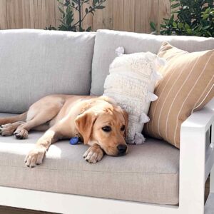 repeat customers outside space