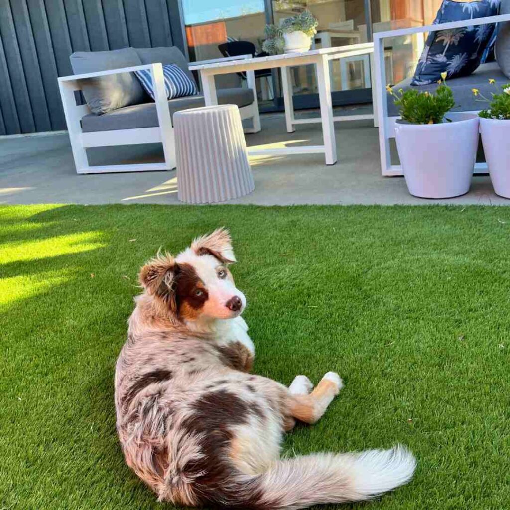 good sqaubs dont need replacing