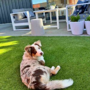 good sqaubs dont need replacing